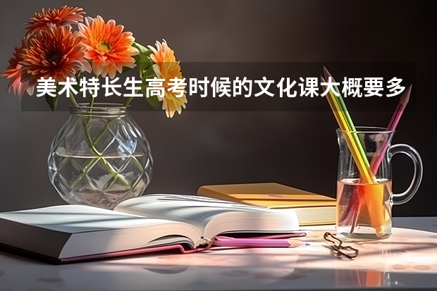 美术特长生高考时候的文化课大概要多少分？