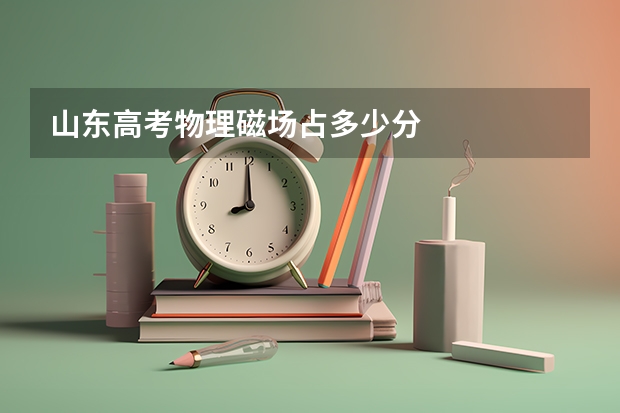 山东高考物理磁场占多少分
