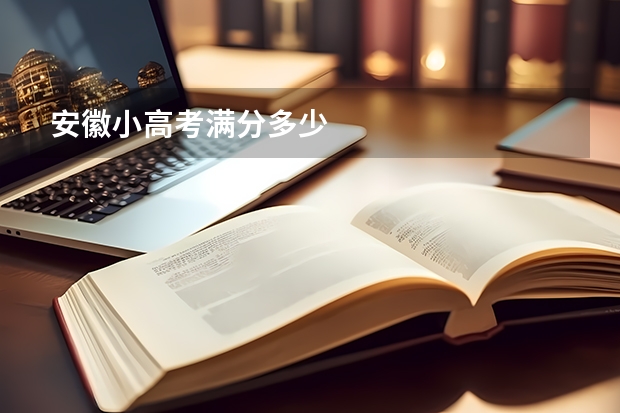 安徽小高考满分多少