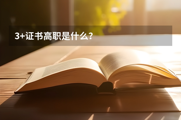 3+证书高职是什么？