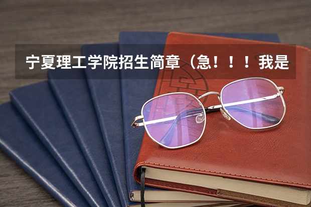宁夏理工学院招生简章（急！！！我是山西美术考生，联考分231，文化课能考四百分，择校问题）