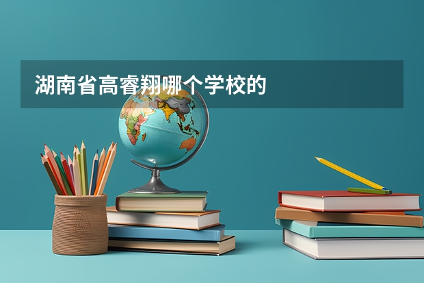 湖南省高睿翔哪个学校的