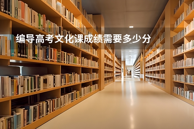 编导高考文化课成绩需要多少分