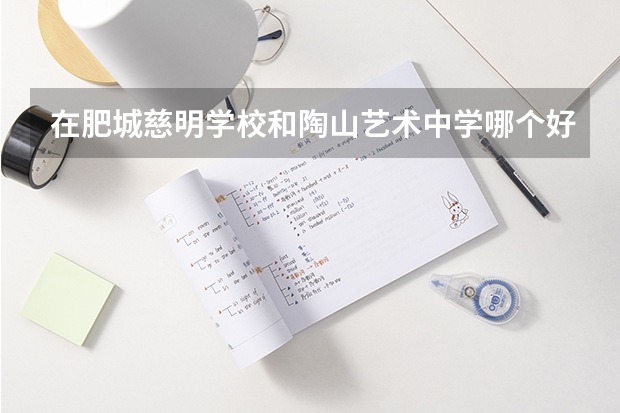 在肥城慈明学校和陶山艺术中学哪个好