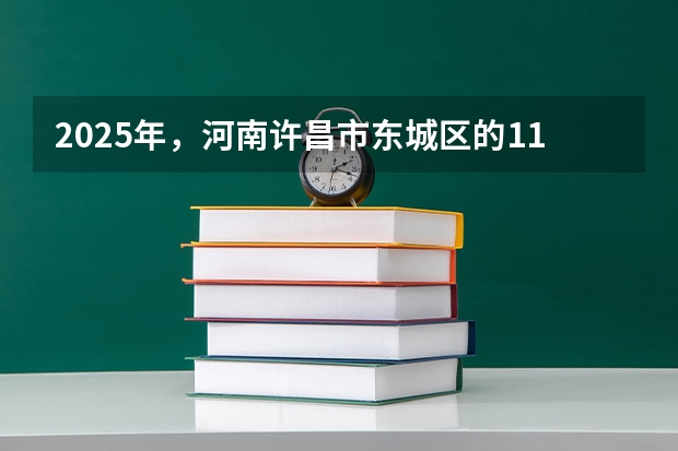 2025年，河南许昌市东城区的110号地和116号地最终会被征用吗？
