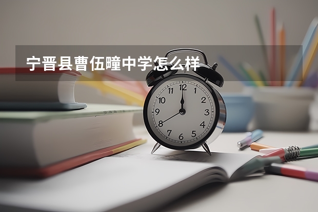 宁晋县曹伍疃中学怎么样