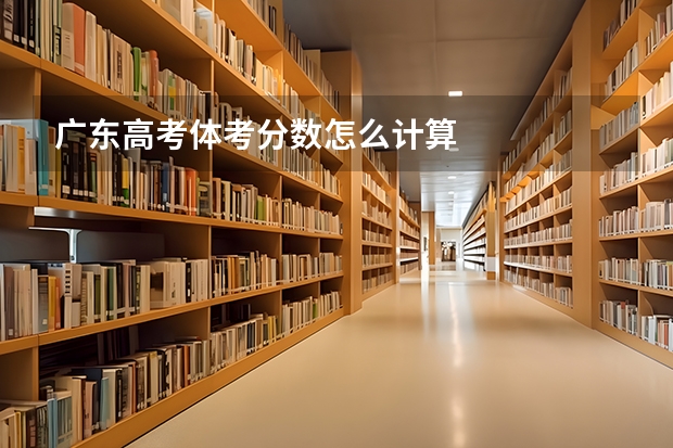 广东高考体考分数怎么计算