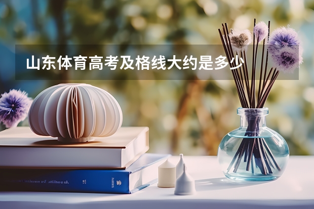 山东体育高考及格线大约是多少