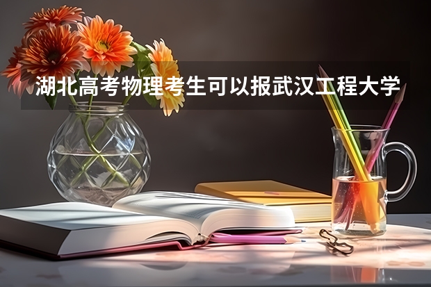 湖北高考物理考生可以报武汉工程大学的哪些专业（2025年情况）
