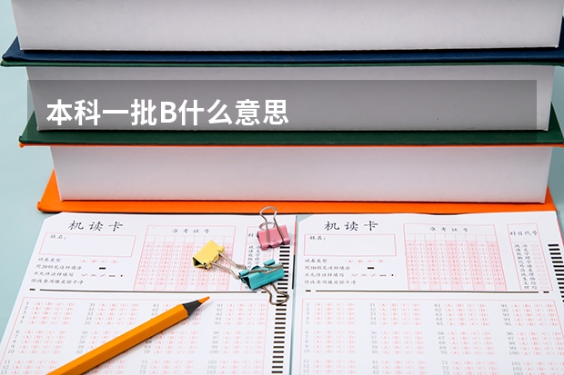 本科一批B什么意思