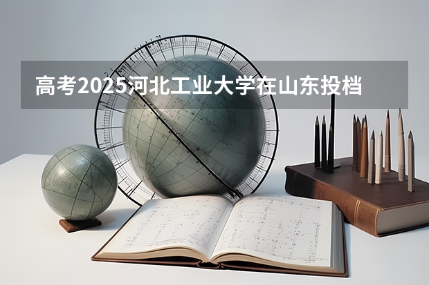 高考2025河北工业大学在山东投档分数线详解